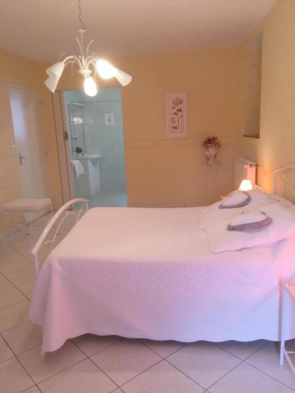 Chambres D'Hotes Du Maspourquet Saint-Santin-Aveyron Екстериор снимка